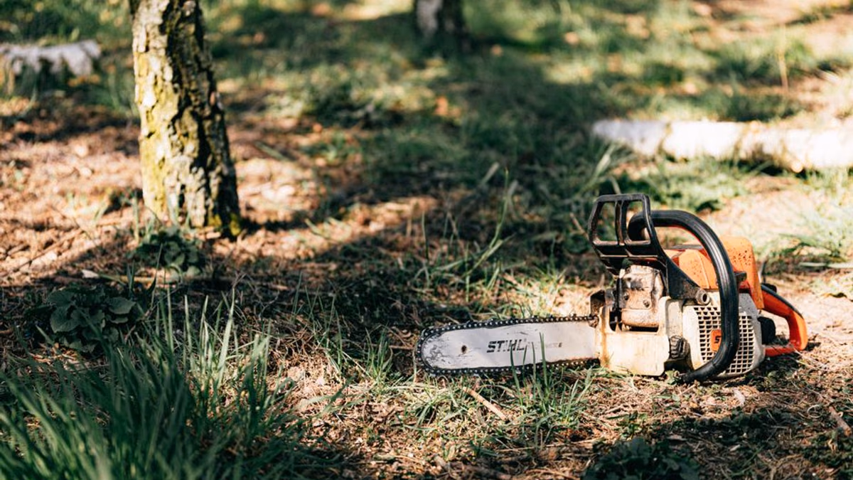 Chainsaw chain and bar maintenance — tension, oil and sharpening keep saws safe