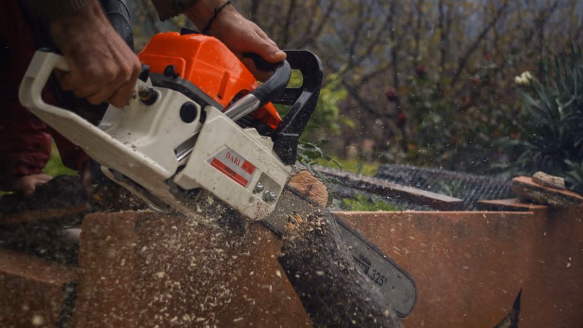 Petrol chainsaw cutting timber — stalls under load often trace to brake drag or dull chain