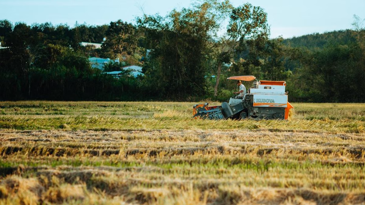 Compact tractor on a smallholding — seasonal petrol machinery maintenance