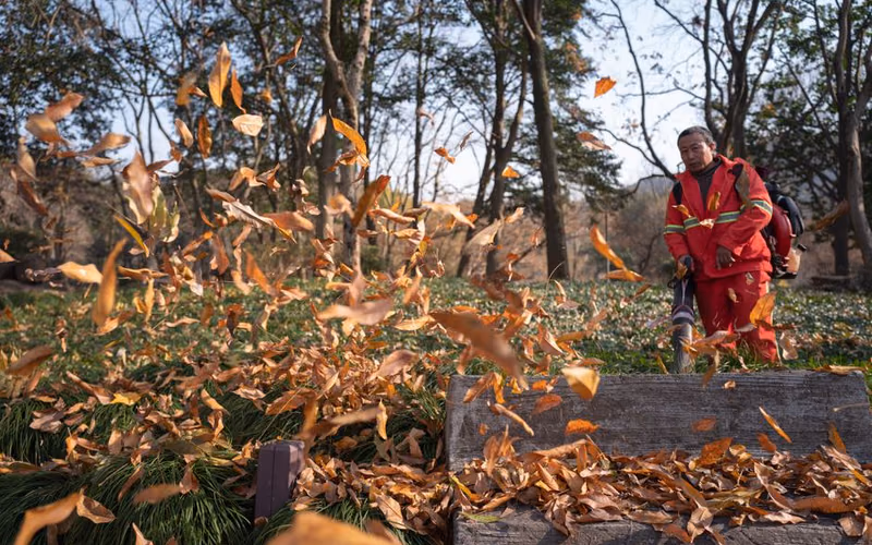 Petrol leaf blower clearing leaves from a garden path