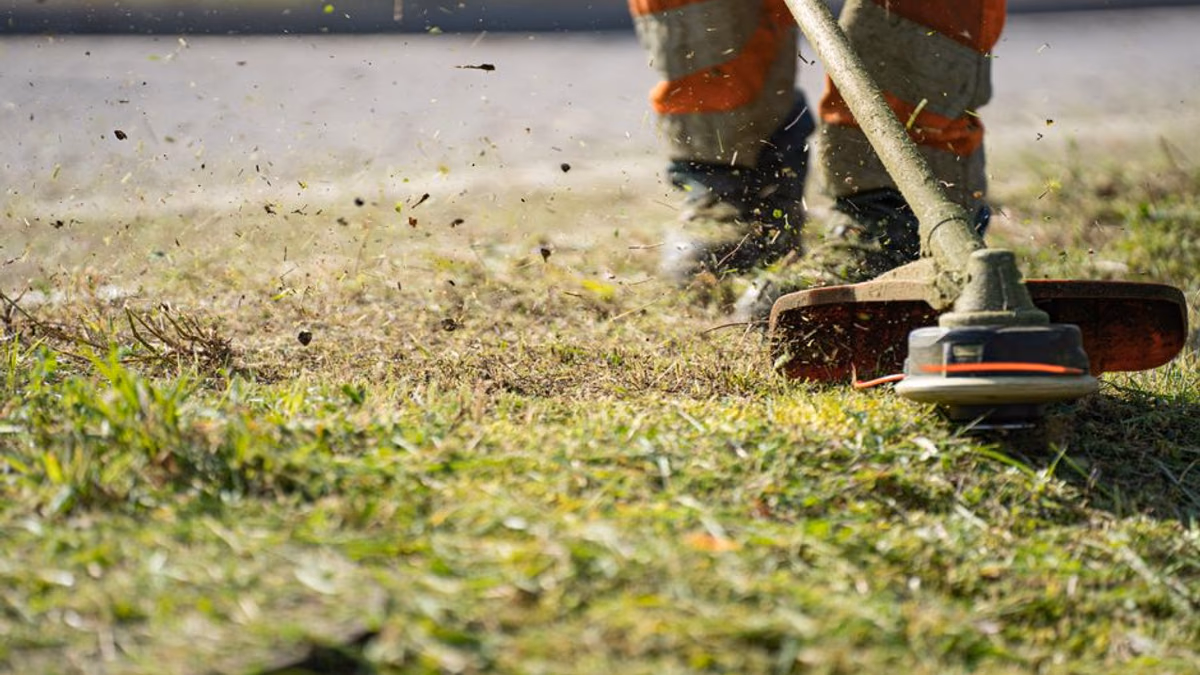 Petrol brushcutter clearing thick vegetation — where clutch and gearbox faults appear