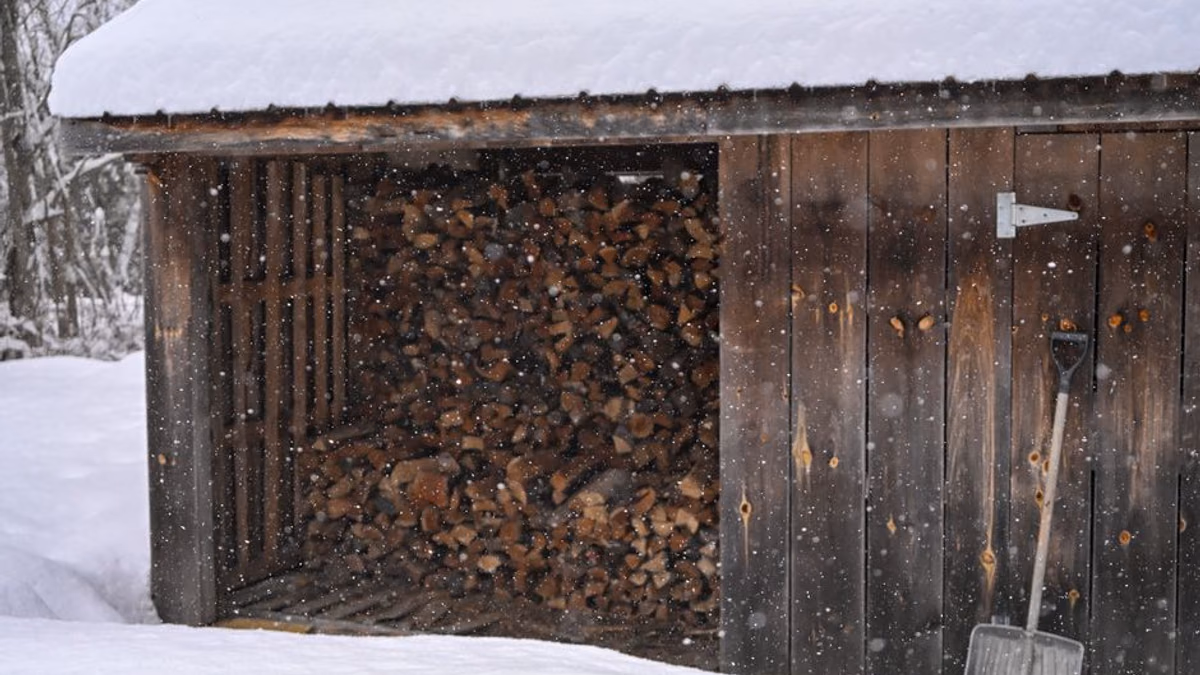 Garden shed in winter — where Mountfield and Hayter mowers often sit before spring starting faults