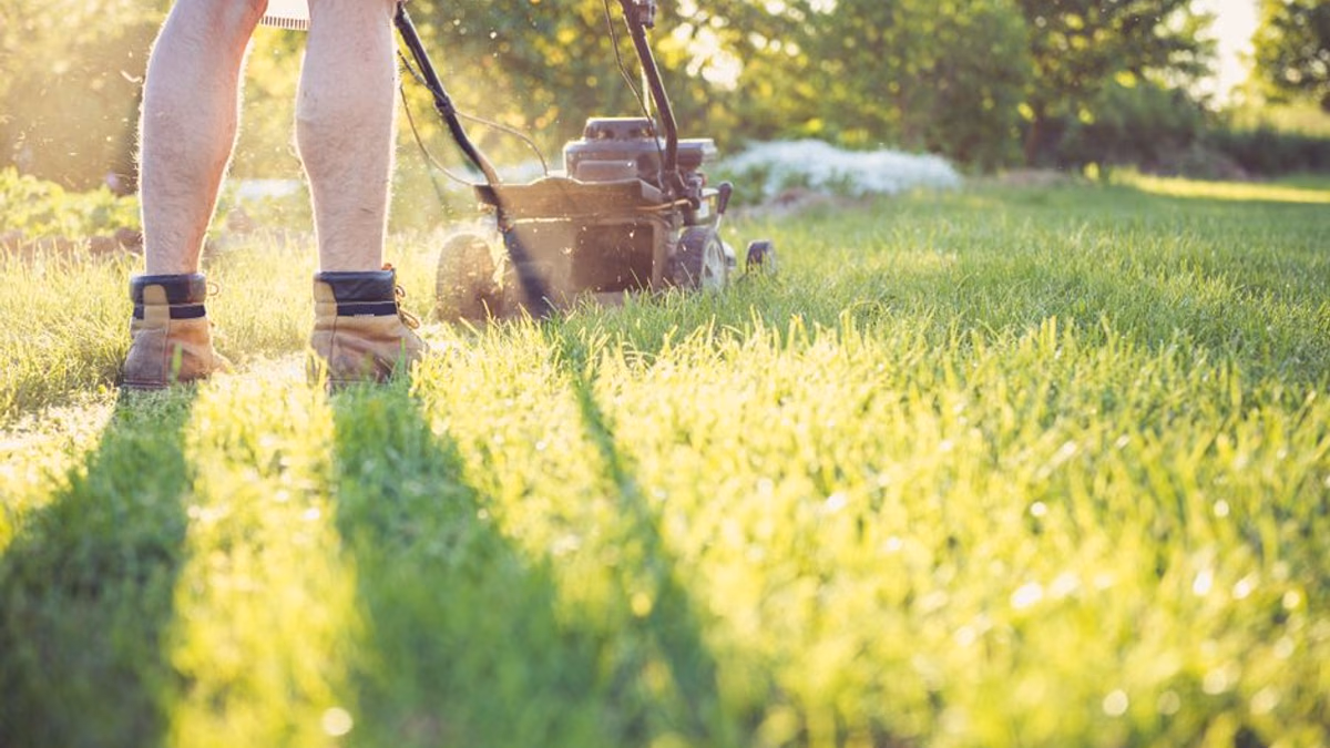 Petrol lawnmower being serviced before the mowing season — fuel and spark checks first
