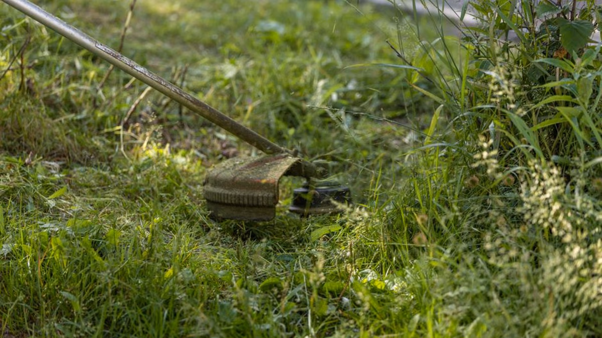 Close-up of a petrol grass trimmer ready for diagnosis when it will not start