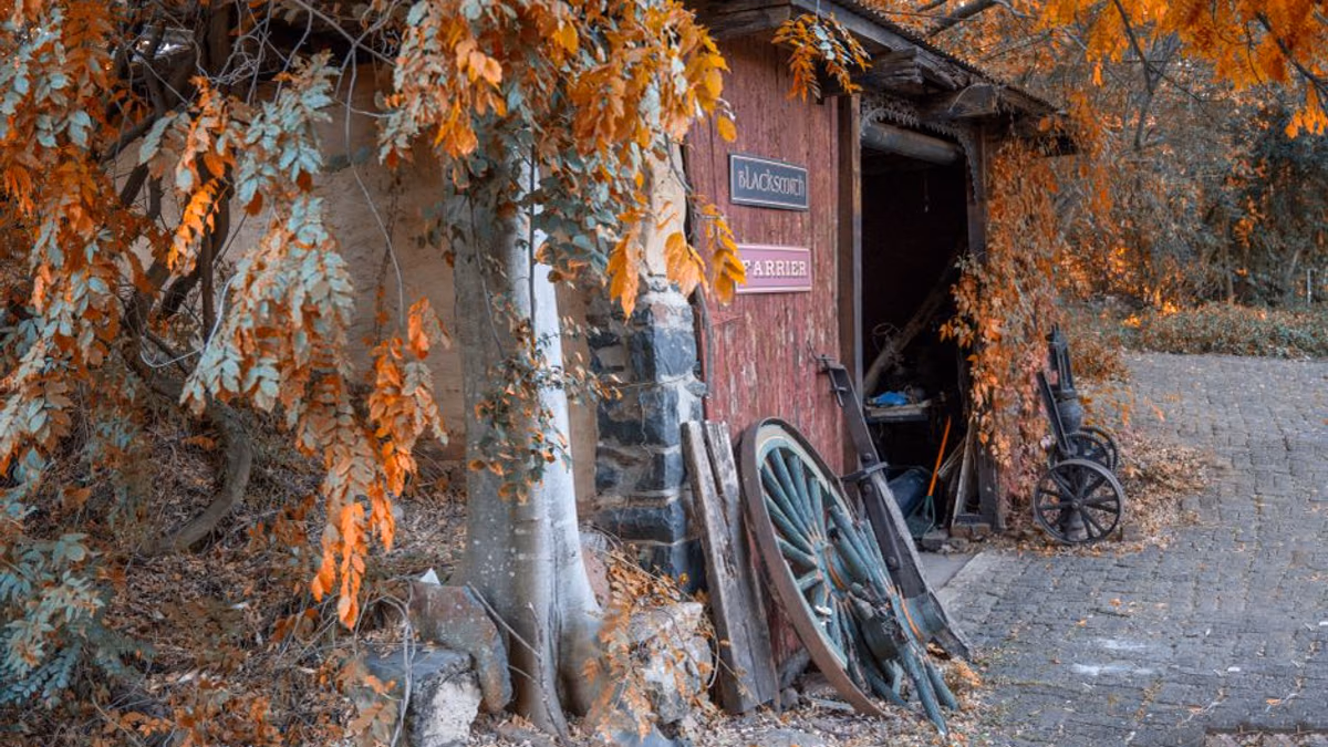 Garden machinery prepared for autumn storage before winter