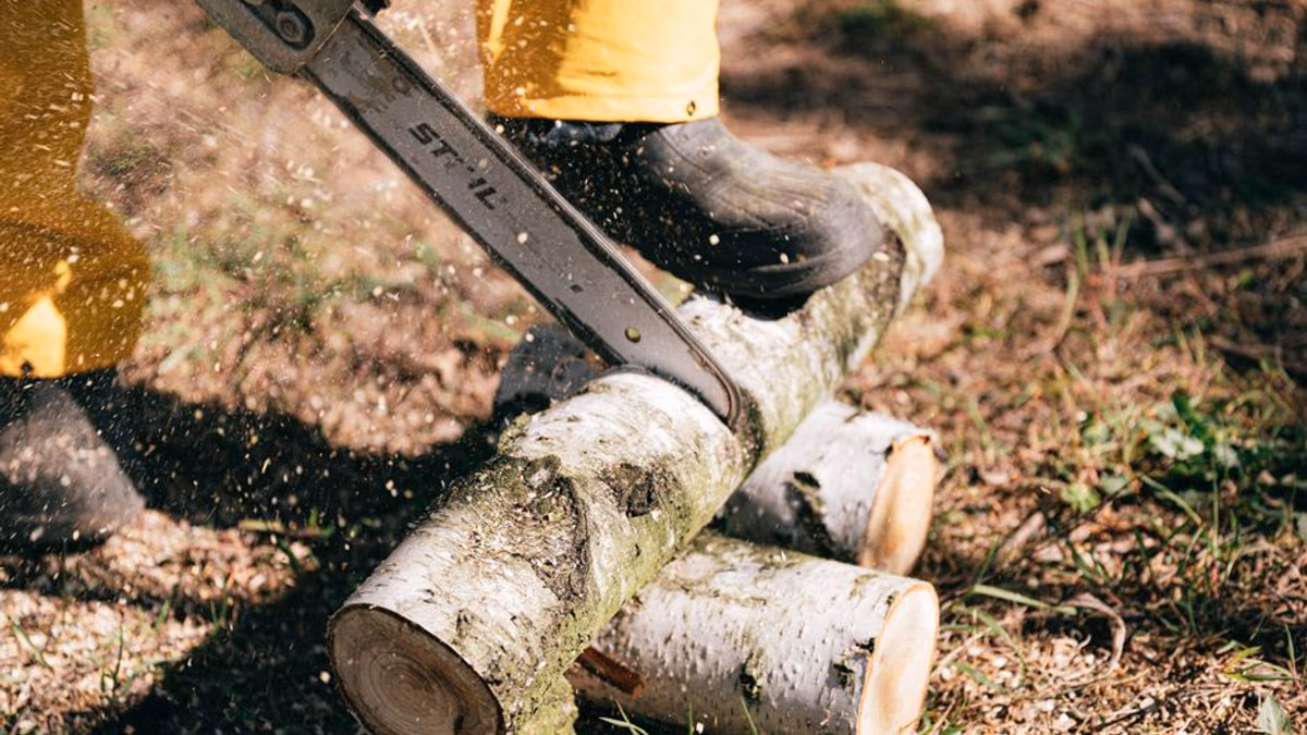 Stihl petrol chainsaw — MS-series brake, carb and bar oil repairs
