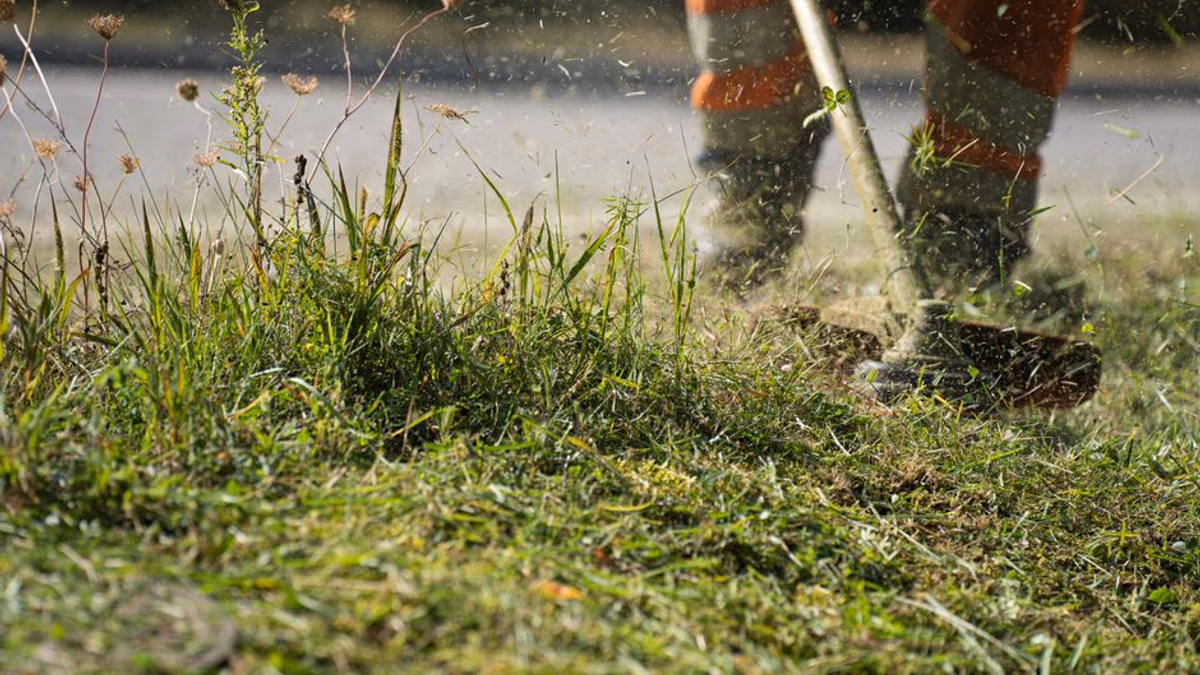 Close-up of a petrol strimmer cutting thick grass under load — the kind of work that exposes power-loss faults