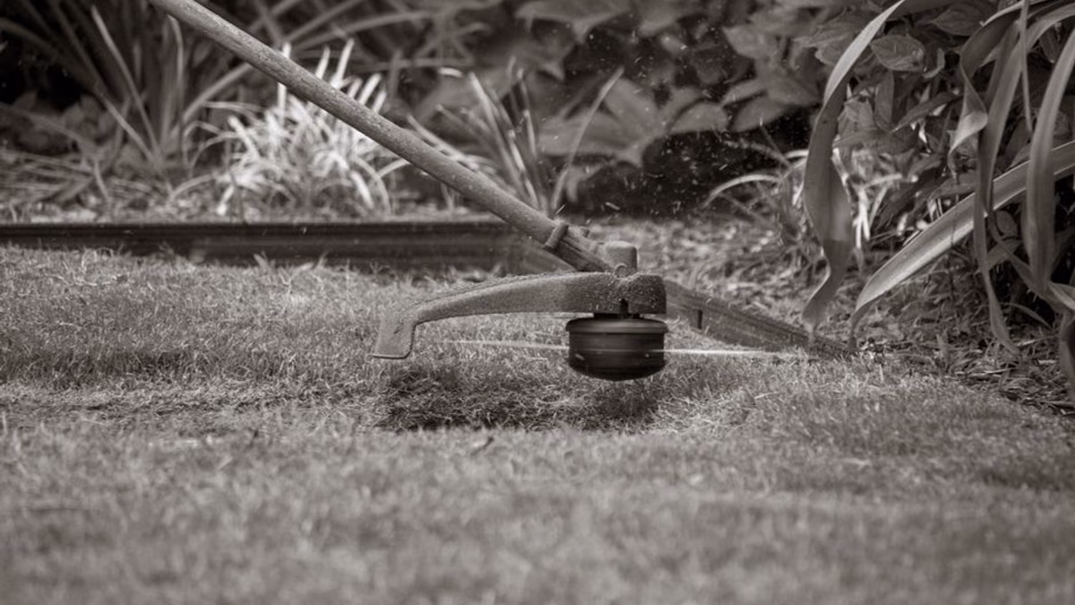 Petrol strimmer trimmer head and nylon line — where jamming and poor cutting start