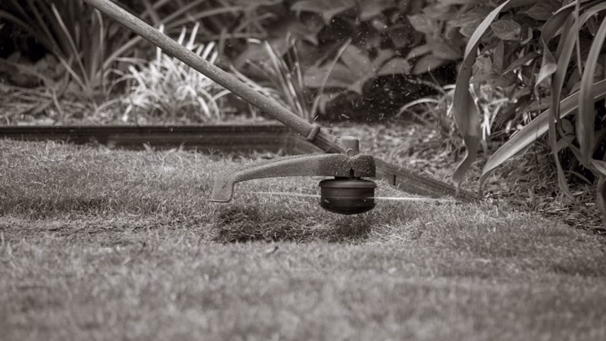 Petrol strimmer that won't start — real troubleshooting in Paul's Hyde workshop