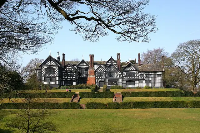 Chainsaw Repair in Bramhall