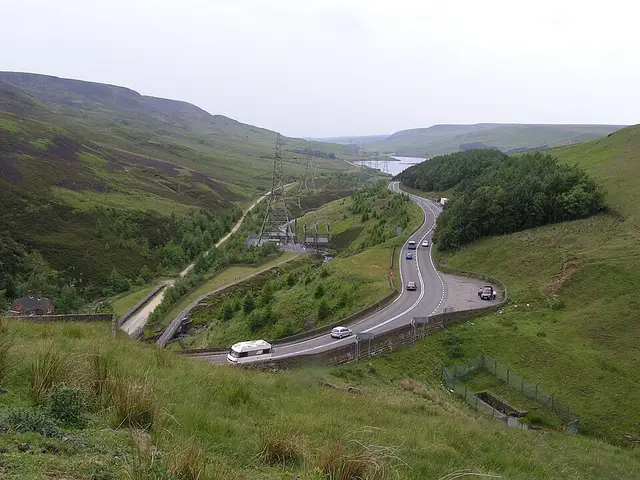 Chainsaw Repair in Longdendale